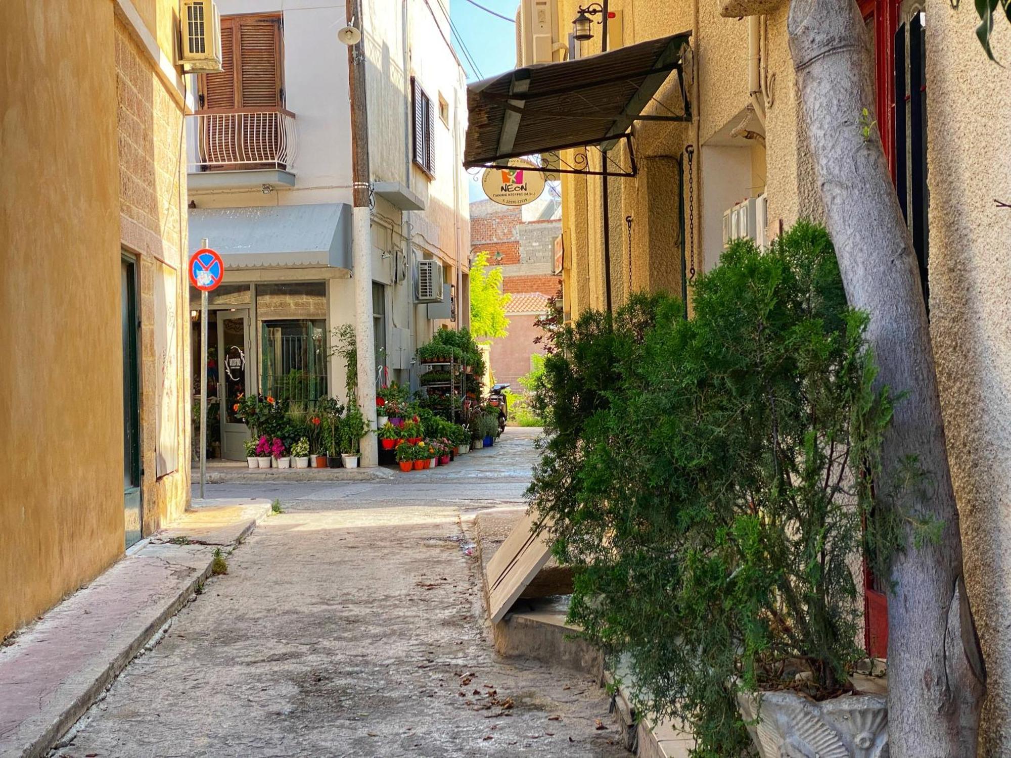 Nasos Aegina Apartment Eksteriør billede